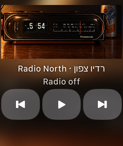 Снимок разрабатываемой версии BTTF Radio на Apple Watch с управлением воспроизведением